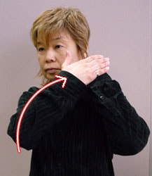 bE摜Q
