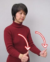 bE摜Q