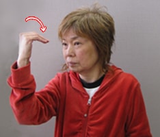 bE摜Q