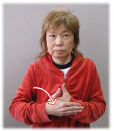 bE摜Q